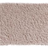 Bold Indulgence carpet - 039
